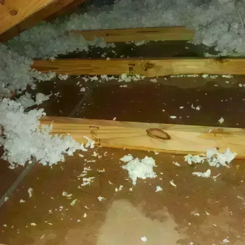 Attic Water Damage in Kokomo, IN